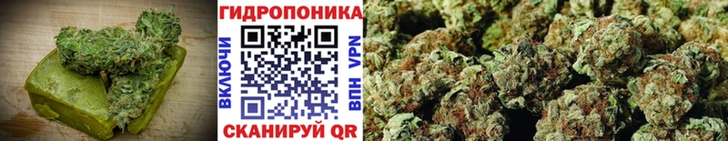 где можно купить наркотик  Циолковский  Canna-Cookies марихуана 