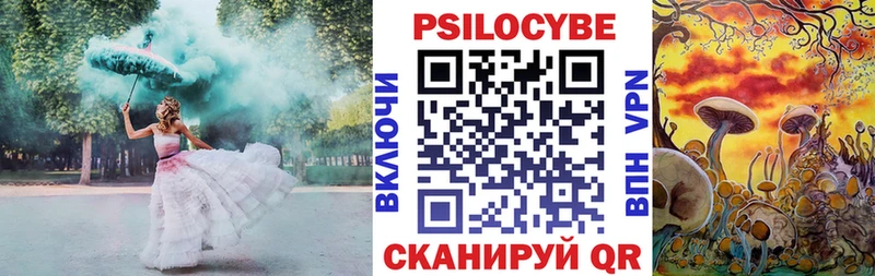 Псилоцибиновые грибы прущие грибы  Циолковский 